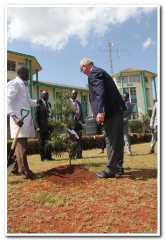 daad director watering the tree after planting
